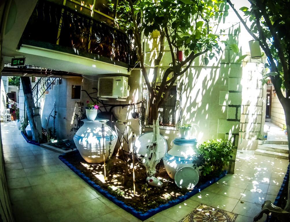 Antik Motel อาเลอเจอติ ภายนอก รูปภาพ