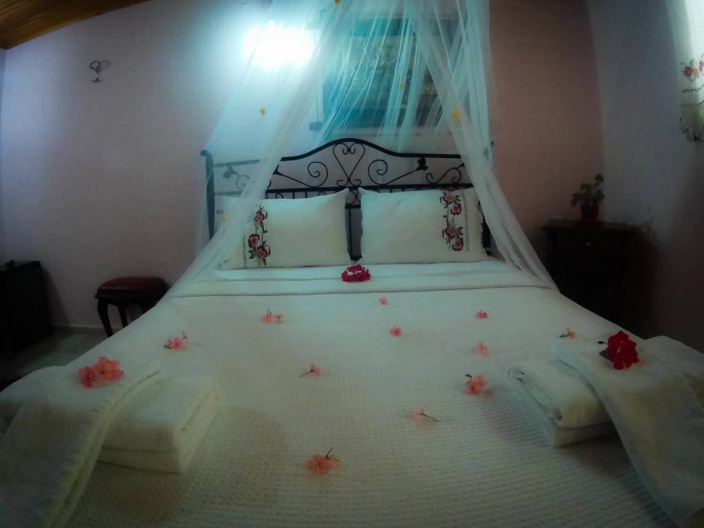 Antik Motel อาเลอเจอติ ภายนอก รูปภาพ